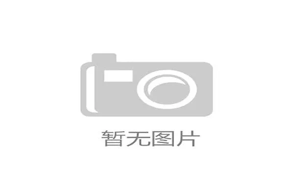 技术团队为球队提供顶级后勤保障，确保球员以最佳生理状态迎接世界杯的挑战。